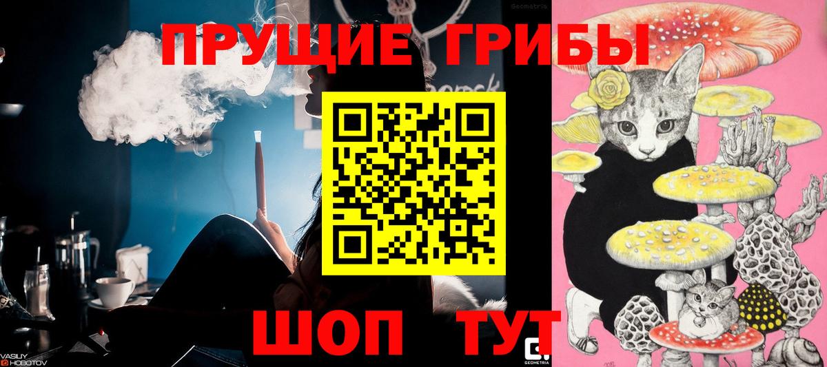 Советская Гавань  Псилоцибиновые грибы GOLDEN TEACHER  Вход с VPN 